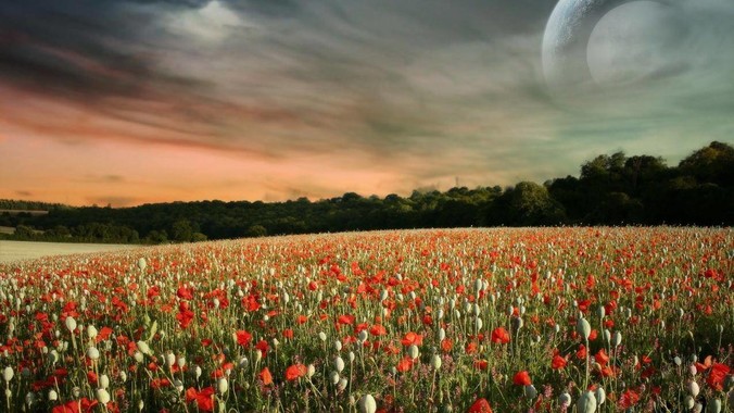 如何评价“寡姐”斯嘉丽·约翰逊的身材?